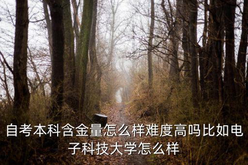 大学自考文凭怎么样,自考本科含金量怎么样