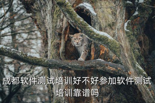 软件测试培训 怎么样,软件测试培训学校哪个好