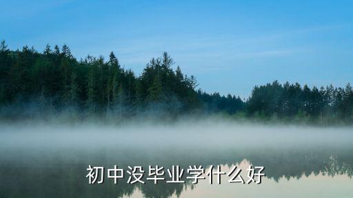 初中未毕业适合学什么,初中没有毕业