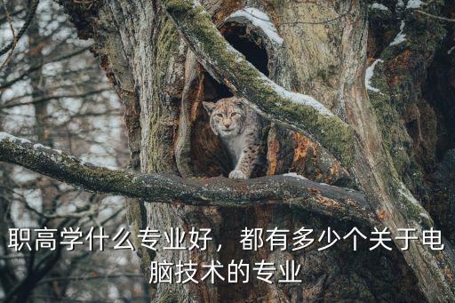 职高毕业学什么技术,高中生毕业后学什么技术好