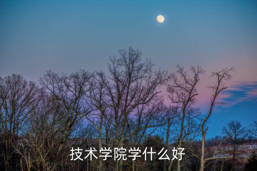 上技术学校学什么好处,技术学院学什么好
