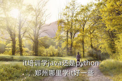 it培训学java还是python，郑州哪里学it好一些