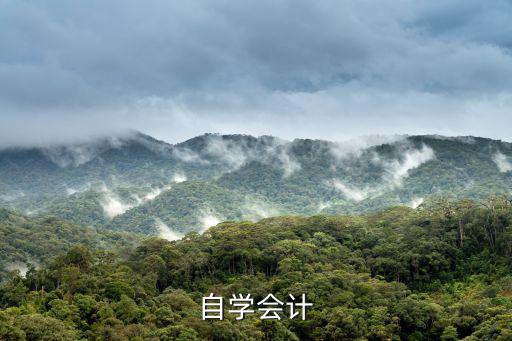 自学会计