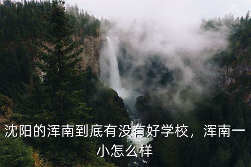 沈阳的浑南到底有没有好学校，浑南一小怎么样