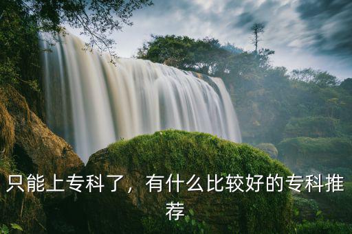 专科选择什么好处,有什么比较好的专科推荐