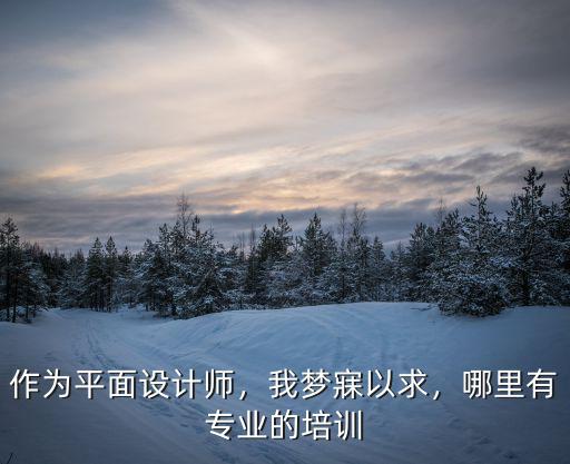 作为平面设计师，我梦寐以求，哪里有专业的培训