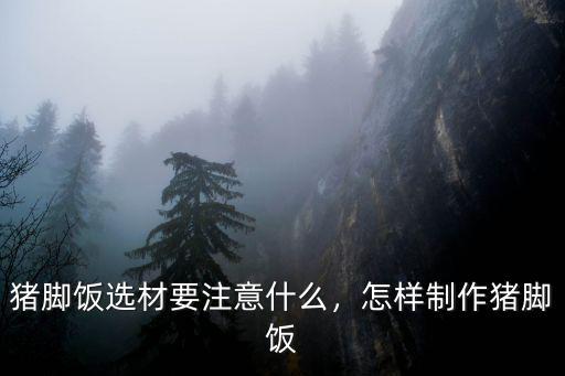 广州猪脚饭怎么做好吃吗,广东隆江猪脚饭怎么做