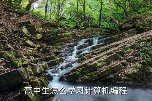 高中生怎么学习计算机编程