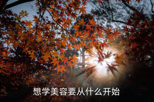 学美容师先学什么,打算学美容前需要学什么