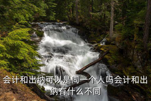 为什么会计和出纳,出纳和会计有什么不同
