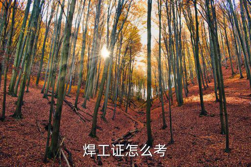 成都怎么办理焊工证,电焊工证怎么办理