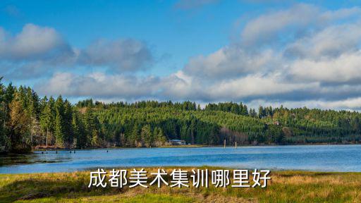 成都美术集训哪里好