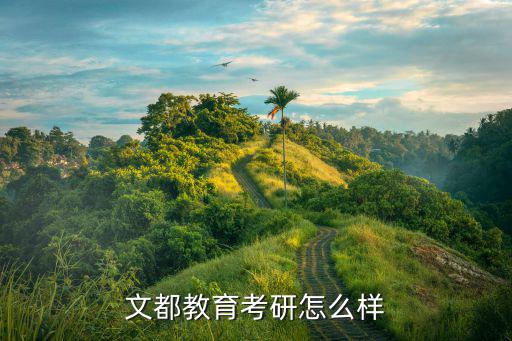 文都应聘班主任怎么样,老师都怎么样