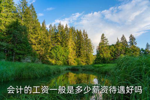 会计待遇怎么样,农村会计待遇怎么样
