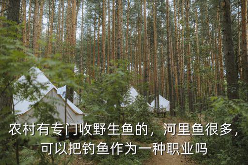 农村有专门收野生鱼的，河里鱼很多，可以把钓鱼作为一种职业吗