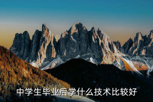 中学生毕业后学什么技术比较好
