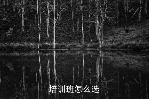 培训班怎么选