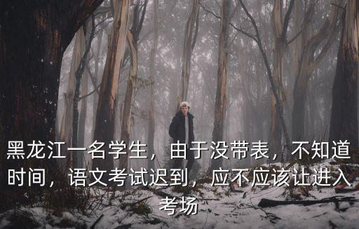 黑龙江一名学生，由于没带表，不知道时间，语文考试迟到，应不应该让进入考场