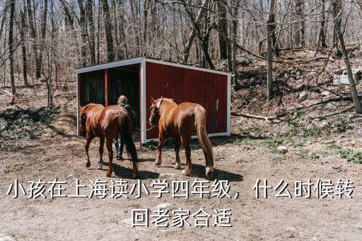 上海小学四年级学什么,小孩在上海读小学四年级