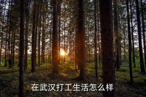 在武汉打工生活怎么样