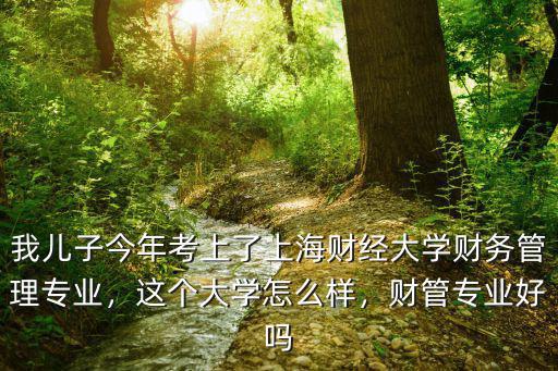 我儿子今年考上了上海财经大学财务管理专业，这个大学怎么样，财管专业好吗