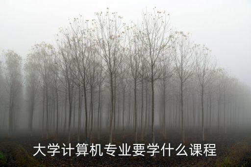 计算机专业有什么课程,大学计算机专业要学什么课程