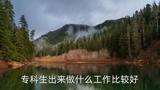 专科生出来做什么工作比较好