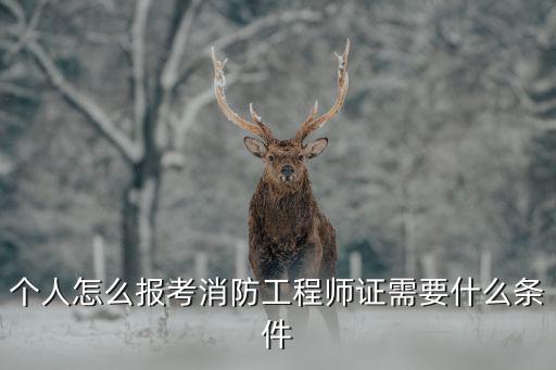 长沙消防证怎么报名,个人怎么报考消防工程师证