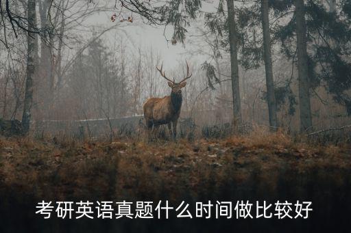 考研英语真题什么时间做比较好