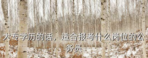 大专学历的话，适合报考什么岗位的公务员