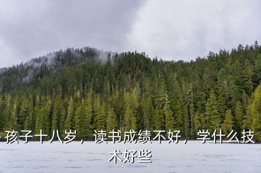 孩子十八岁，读书成绩不好，学什么技术好些