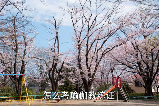 怎么考瑜伽教练证