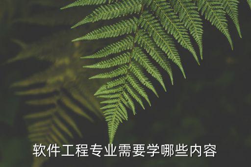 软件工程专业需要学哪些内容