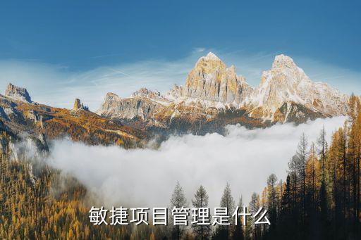 敏捷项目管理是什么