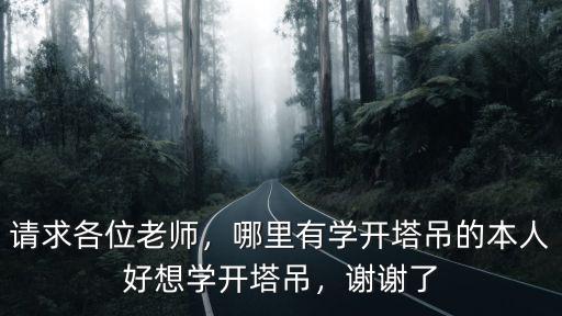 请求各位老师，哪里有学开塔吊的本人好想学开塔吊，谢谢了