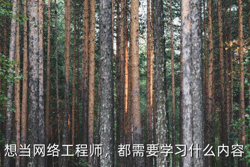 想当网络工程师，都需要学习什么内容