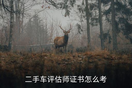 二手车评估师证书怎么考