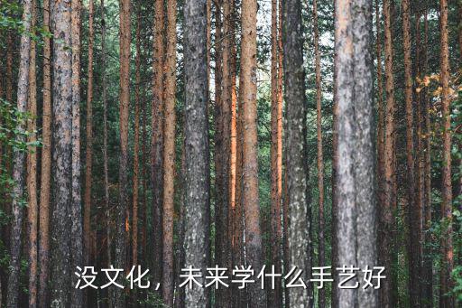 文化不高学什么技术好,学什么技术好