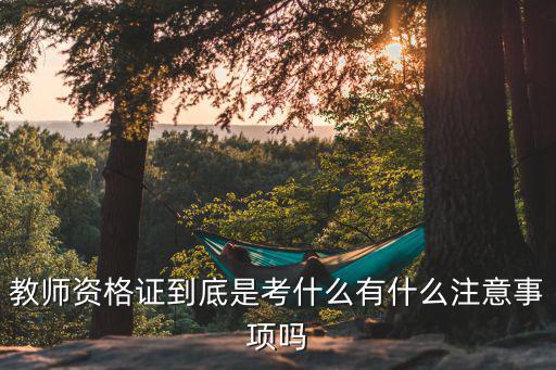 教室从业资格证考什么东西,教师资格证到底是考什么