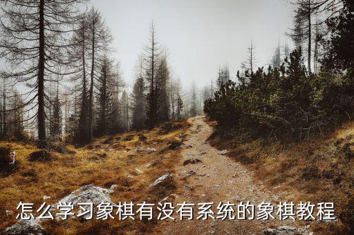 怎么教象棋课,怎样学好象棋呢