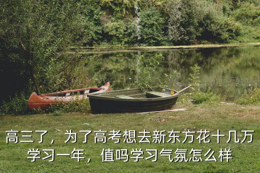 高三了，为了高考想去新东方花十几万学习一年，值吗学习气氛怎么样