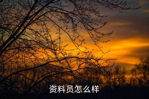 资料员怎么样,资料员怎么样