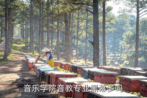 音乐学院音教专业黑幕多吗