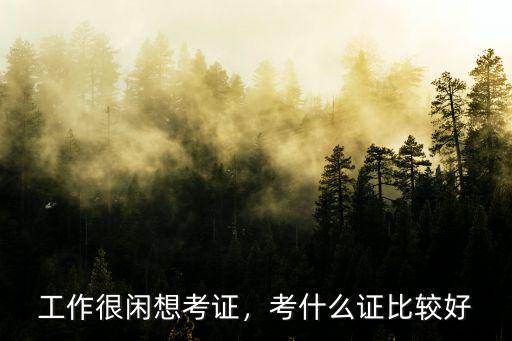 工作很闲想考证，考什么证比较好