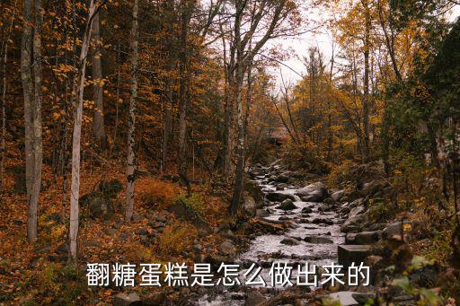 怎么做蛋糕翻糖,翻糖蛋糕的糖皮自己怎么做