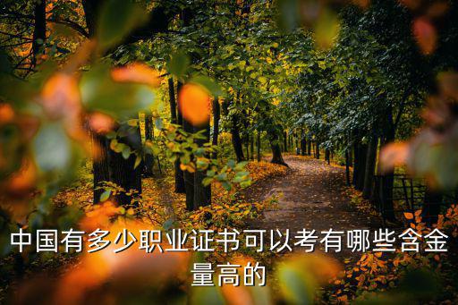 职业证书是什么,中国有多少职业证书可以考