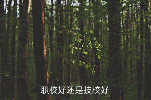 职校好还是技校好