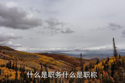 什么是职务什么是职称