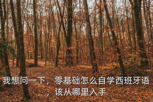 我想问一下，零基础怎么自学西班牙语，该从哪里入手