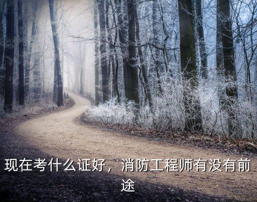 现在考什么工程师比较好,现在考什么证好